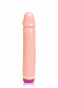 Vibratore Realistico Fantasy Pleasure 21cm